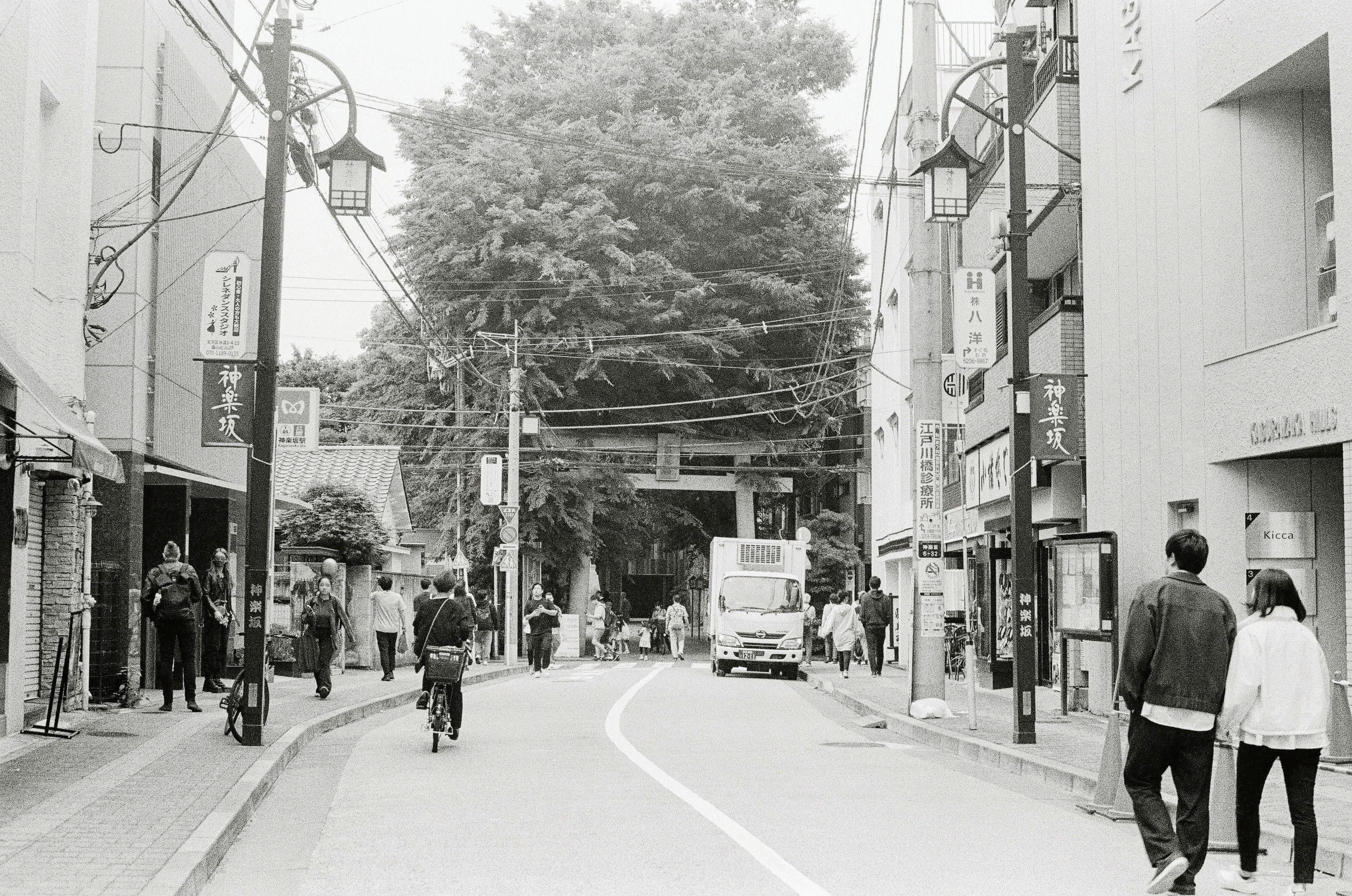 A residential Japanese street with people walking and riding cycles leads towards a large tree with a Japanese shrine peaking through the leaves.